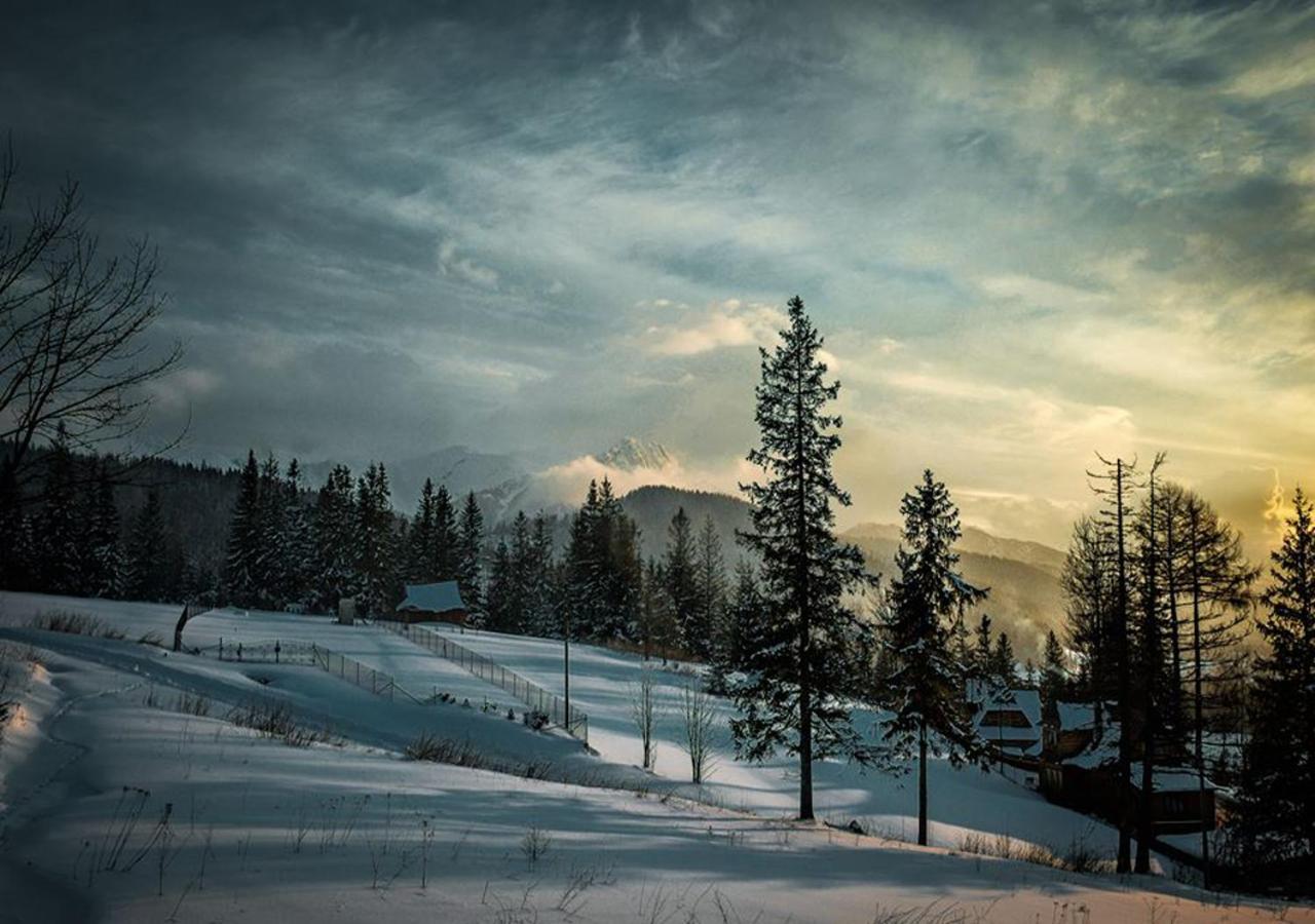 Apartamenty Toporowa Cyrhla Zakopane Luaran gambar